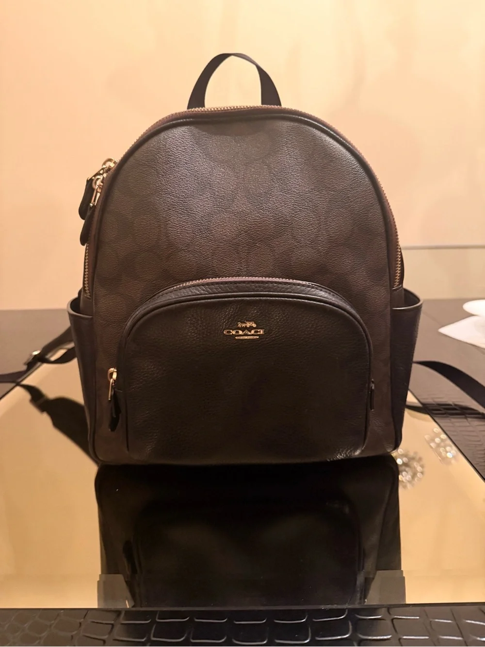 Coach Dark Brown Signature Mini Backpack with Gold Hardware